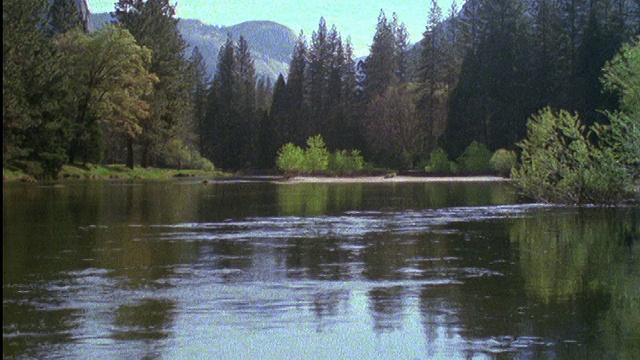森林中央的湖泊/约塞米蒂国家公园，加利福尼亚州视频素材