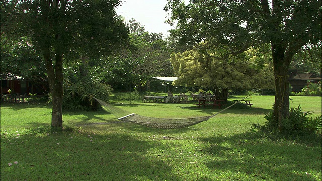 中等长镜头静态-一张吊床伸展在两棵树之间/美国夏威夷视频素材