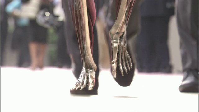 中等近距离静态-一个3D动画描绘了一个人类骨骼行走视频素材