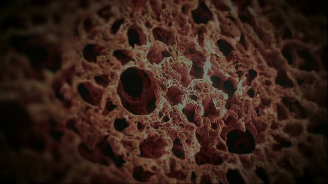 近距离放大- 3D动画描绘了人体呼吸系统的功能，包括肺和肺泡视频下载