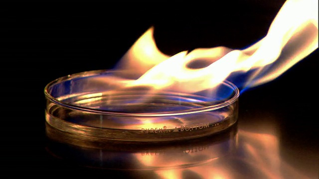 中等静态-火焰从液体上升，当它燃烧在玻璃培养皿。/田纳西州。美国视频下载