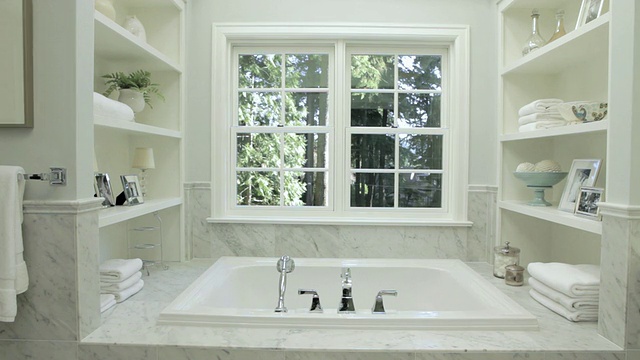 MS PAN美国俄勒冈州奥斯威戈湖浴室风格的住宅视频素材