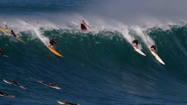 美国夏威夷威美亚湾(waimea bay / Haleiwa)上挤满了冲浪者视频下载