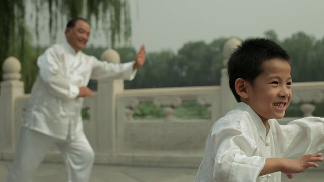 年轻的男孩和成熟的男人在湖边的公园里打太极/中国北京视频下载