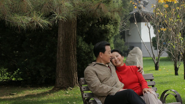 老夫妇坐在公园长椅上拥抱视频下载