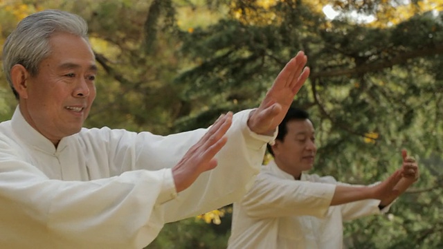 潘小姐选择焦点两个老人在公园/中国打太极拳视频下载