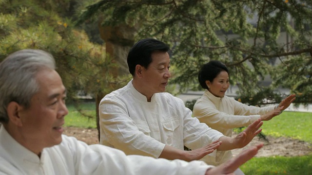 潘小姐选择焦点老年人在公园/中国打太极拳视频下载