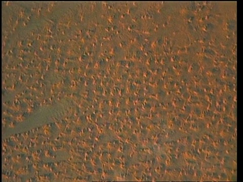 从太空看地球，非洲上空，放大沙丘，缩小，STS-44视频素材