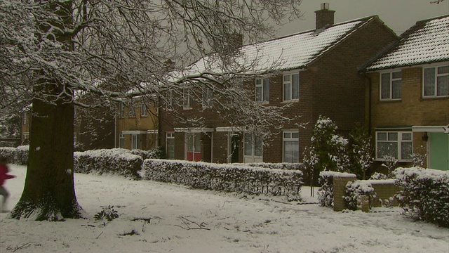 皑皑白雪覆盖的树枝，缩小到MS的排屋，英国视频下载
