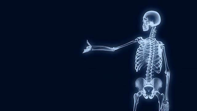 x射线骨架展示1视频下载