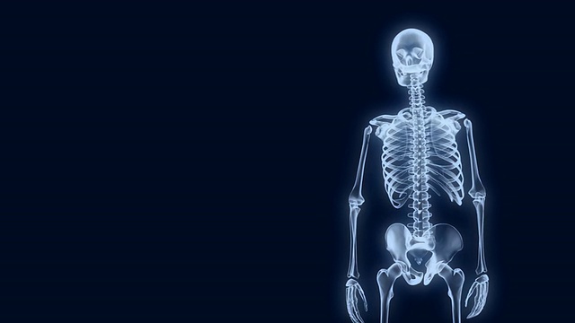 x射线骨架展示2视频下载