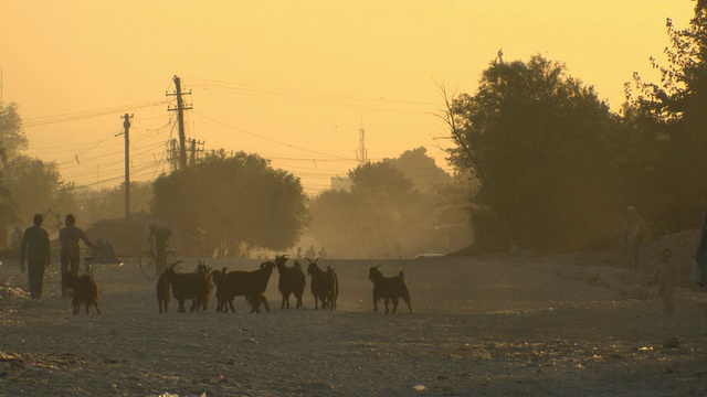 阿富汗马扎里沙里夫美丽的早晨照片视频下载