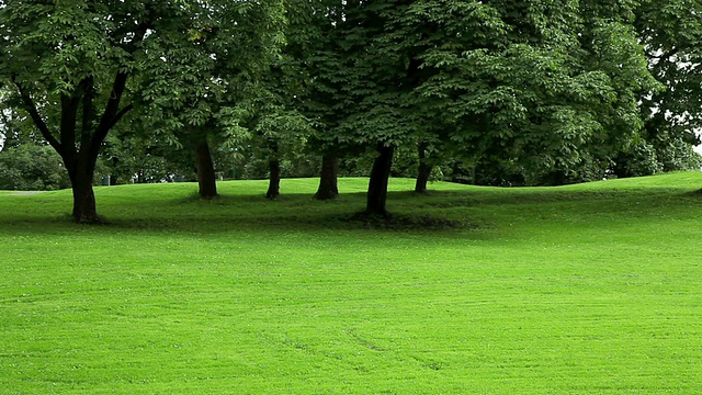 公园有绿色的草坪。视频下载