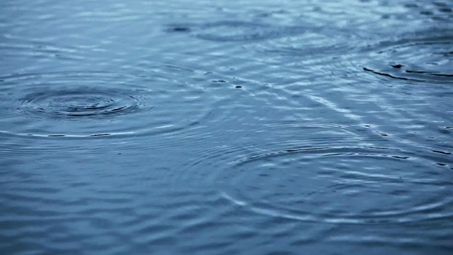 池塘里的水滴视频素材