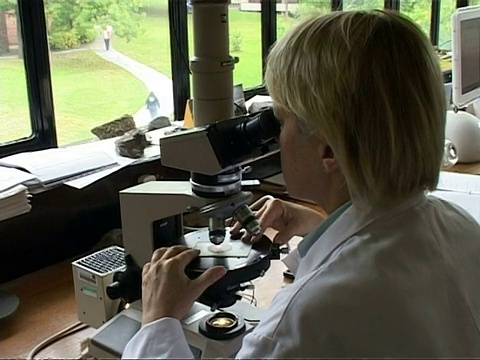 从CU幻灯片缩小到MS，从女性肩膀上看显微镜视频下载