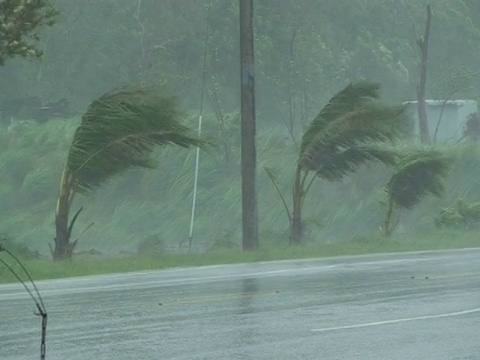 棕榈树在强风中摇摆;台风莫拉克，台湾2009年8月7日(附音频)视频下载