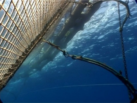 地中海渔场的鱼笼浮筒和缆绳。视频下载