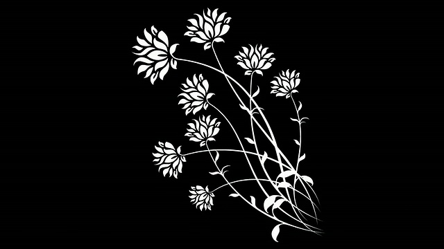 种植花卉黑与白视频素材