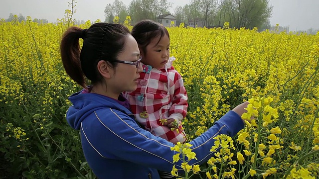 母女俩在油菜黄地里/汉中，陕西，中国视频下载