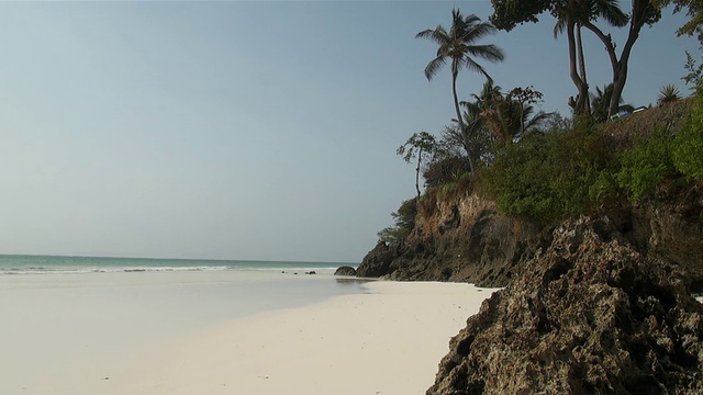 在悬崖上的棕榈树在白色的海滩在印度洋南海岸蒙巴萨音频/蒙巴萨，海岸省，肯尼亚视频下载