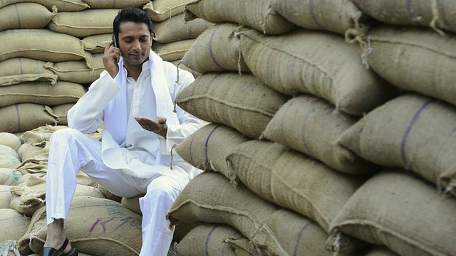 印度哈里亚纳邦古尔冈，Farmer坐在粮袋上，打手机视频素材