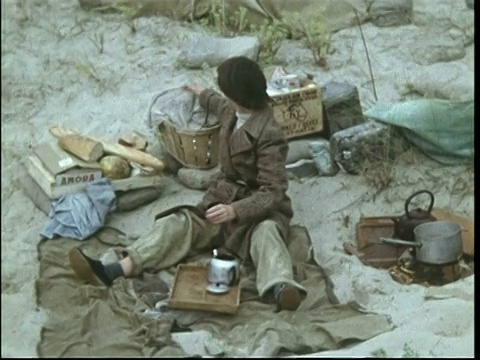 野营假日,1951视频素材