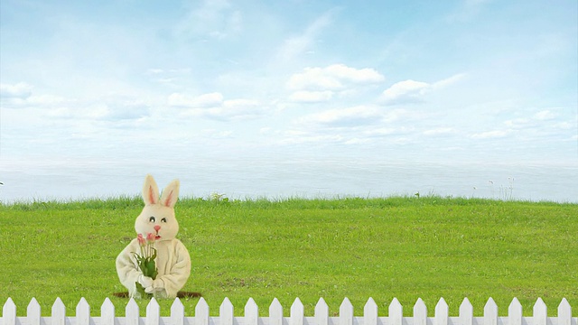 复活节的兔子视频下载