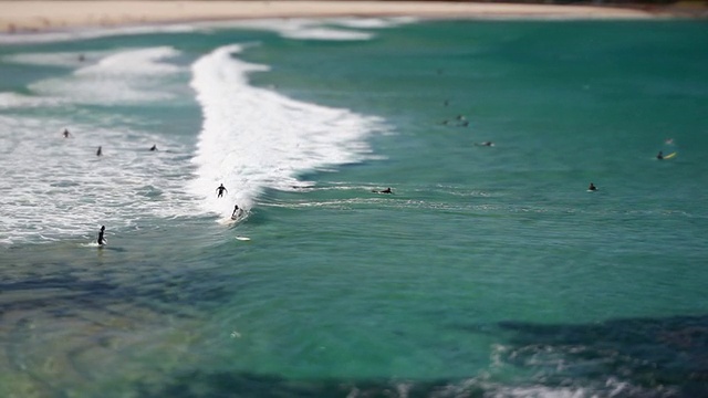 邦迪海滩高清视频倾斜移位，悉尼视频素材