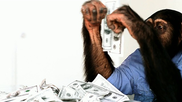黑猩猩的钱近了视频下载