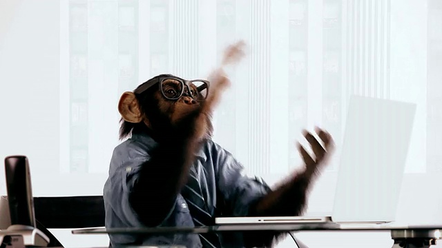 黑猩猩笔记本鼓掌视频素材