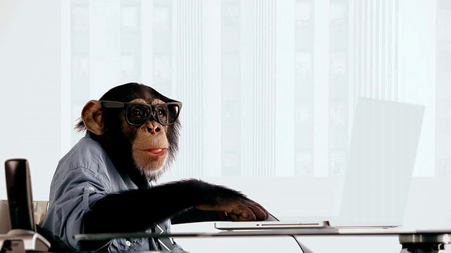 黑猩猩笔记本快乐视频素材