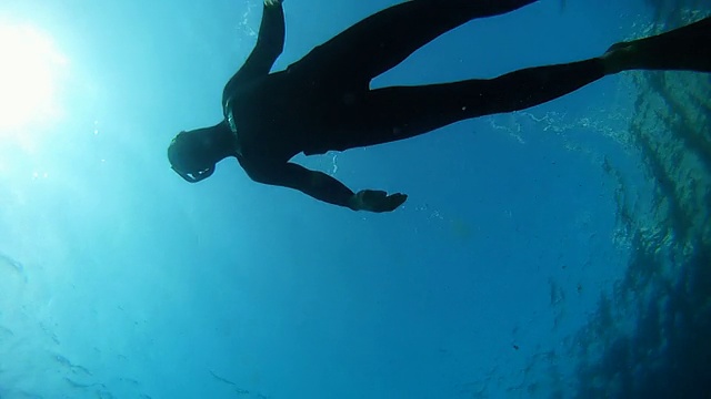 潜水员游回水面视频素材