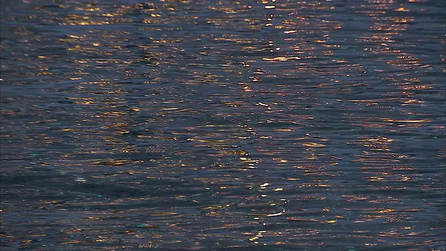 近距离机架聚焦静态-光反射波浪形的水。/神户,日本视频素材
