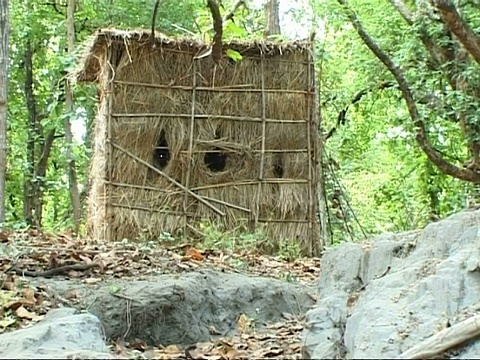 印度森林里的稻草小屋视频下载