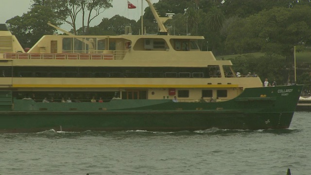 澳大利亚悉尼科勒罗伊的渡轮视频下载