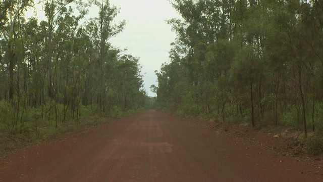 澳大利亚灌木与红土路，阿纳姆地，澳大利亚北部视频素材
