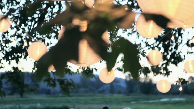 日落时分，朋友和家人在树下的野外用餐，灯笼，美国华盛顿视频素材