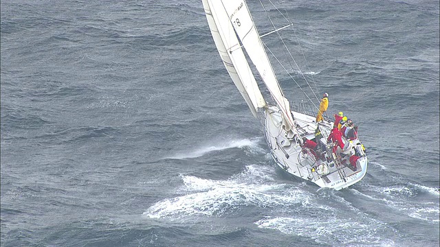 在2009年悉尼至霍巴特帆船赛中，残疾水手驾驶的54英尺游艇。大卫·佩斯库德，澳大利亚视频下载
