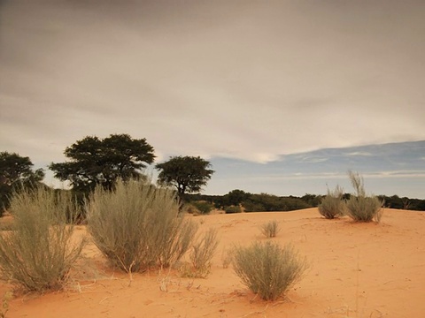 当黄昏降临时，南非喀拉哈里沙漠上空的厚重云层视频下载