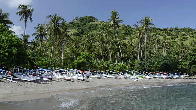 MS拍摄的支腿渔船站在棕榈树海滩在亚洲/坎迪，达萨巴厘岛，印度尼西亚视频素材