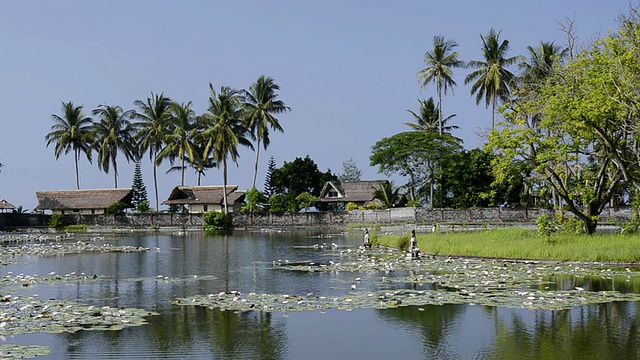 MS拍摄的泻湖与睡莲，棕榈树和平房/坎迪达萨，巴厘岛，印度尼西亚视频素材