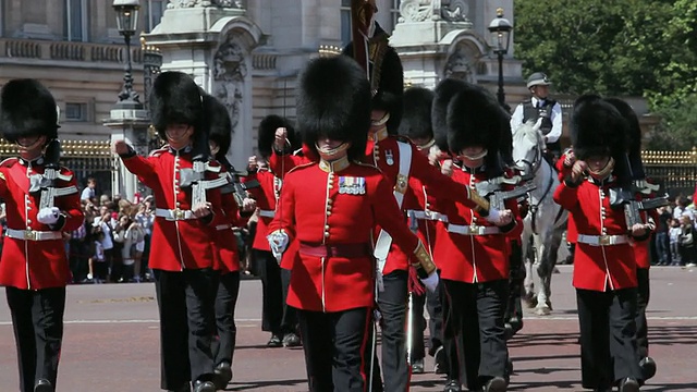 MS掷弹兵乐队在白金汉宫音频/英国伦敦视频素材