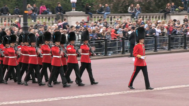MS TS掷弹兵在白金汉宫游行/英国伦敦视频素材