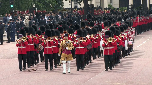 MS TS掷弹兵在白金汉宫游行/英国伦敦视频素材