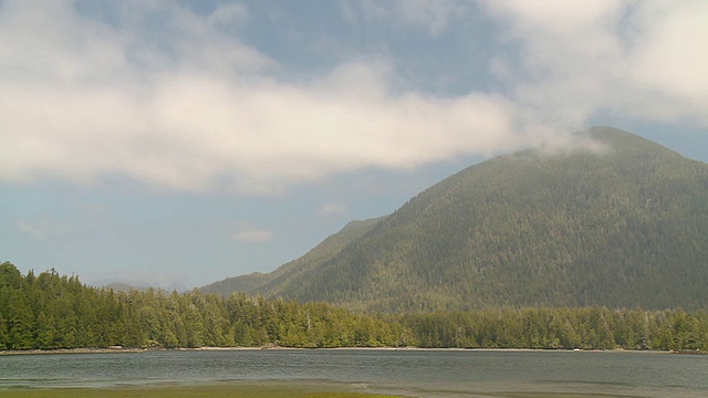 在加拿大不列颠哥伦比亚省的Clayoquot Sound / Tofino，米尔斯岛的陡峭山坡上有雾视频下载