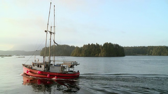 驶往海上的MS TS渔船/托菲诺，加拿大不列颠哥伦比亚省视频下载