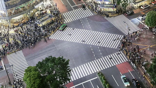 在日本涩谷/东京，TL, LS, HA行人和车辆穿过被闪烁的屏幕照亮的繁忙的人行横道视频素材