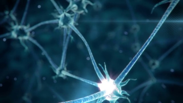 神经元网络视频素材