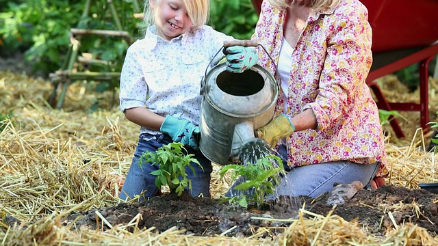 MS TD祖母和孙女在蔬菜花园浇水/里士满，弗吉尼亚州，美国视频素材