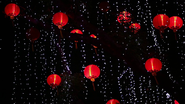 树上挂着中国的灯笼和彩灯视频素材